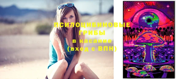прущие грибы Алексеевка
