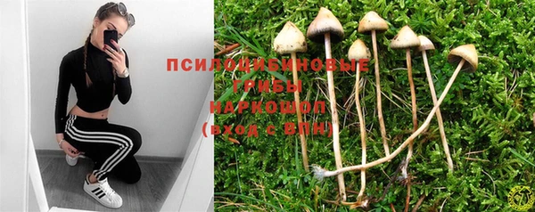 прущие грибы Алексеевка