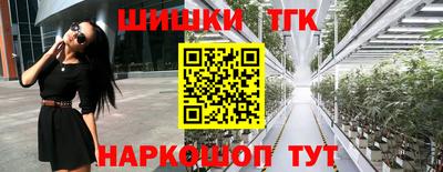 дживик Аша
