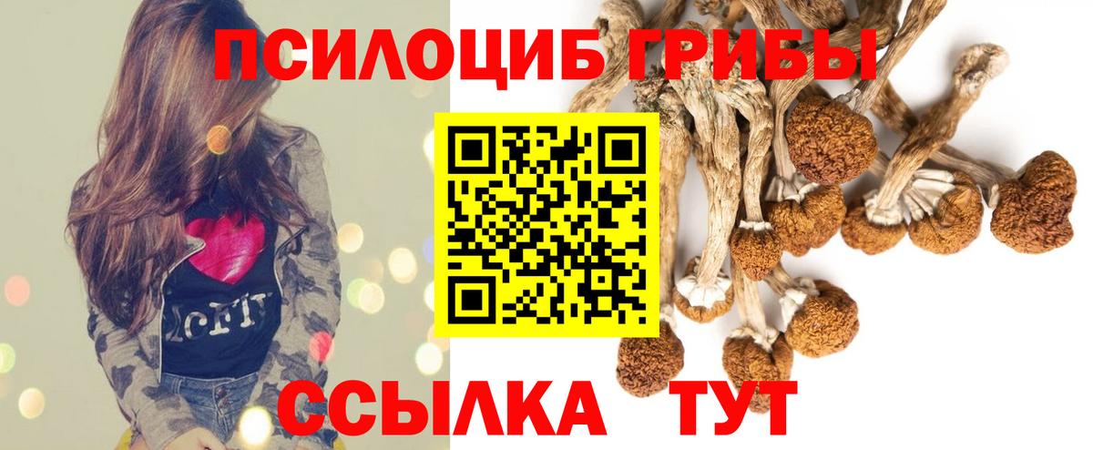 купить  сайты  Галлюциногенные грибы MAGIC MUSHROOMS  Вход с VPN  Десногорск  Галлюциногенные грибы MAGIC MUSHROOMS 